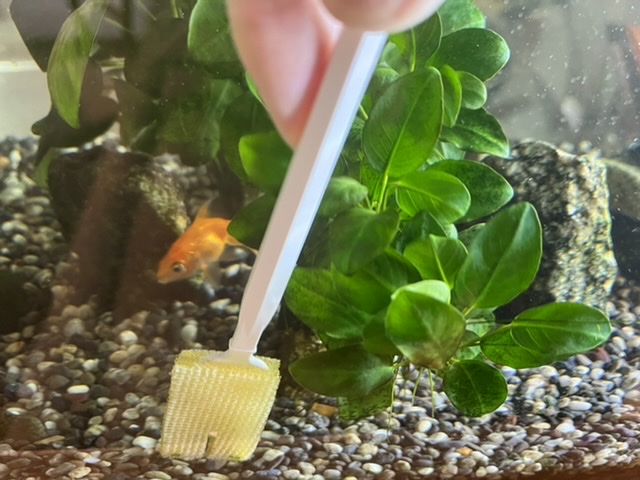 え。は。