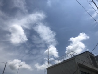 存在と環境