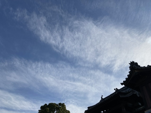 歩いて歩いて