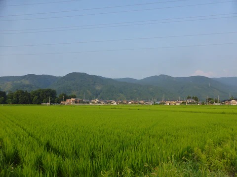 世界遺産白山ジオパークで育ったコシヒカリの米粉