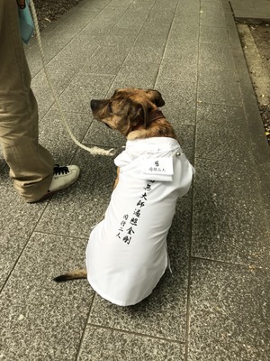 可愛いお遍路さんをご紹介致します💓