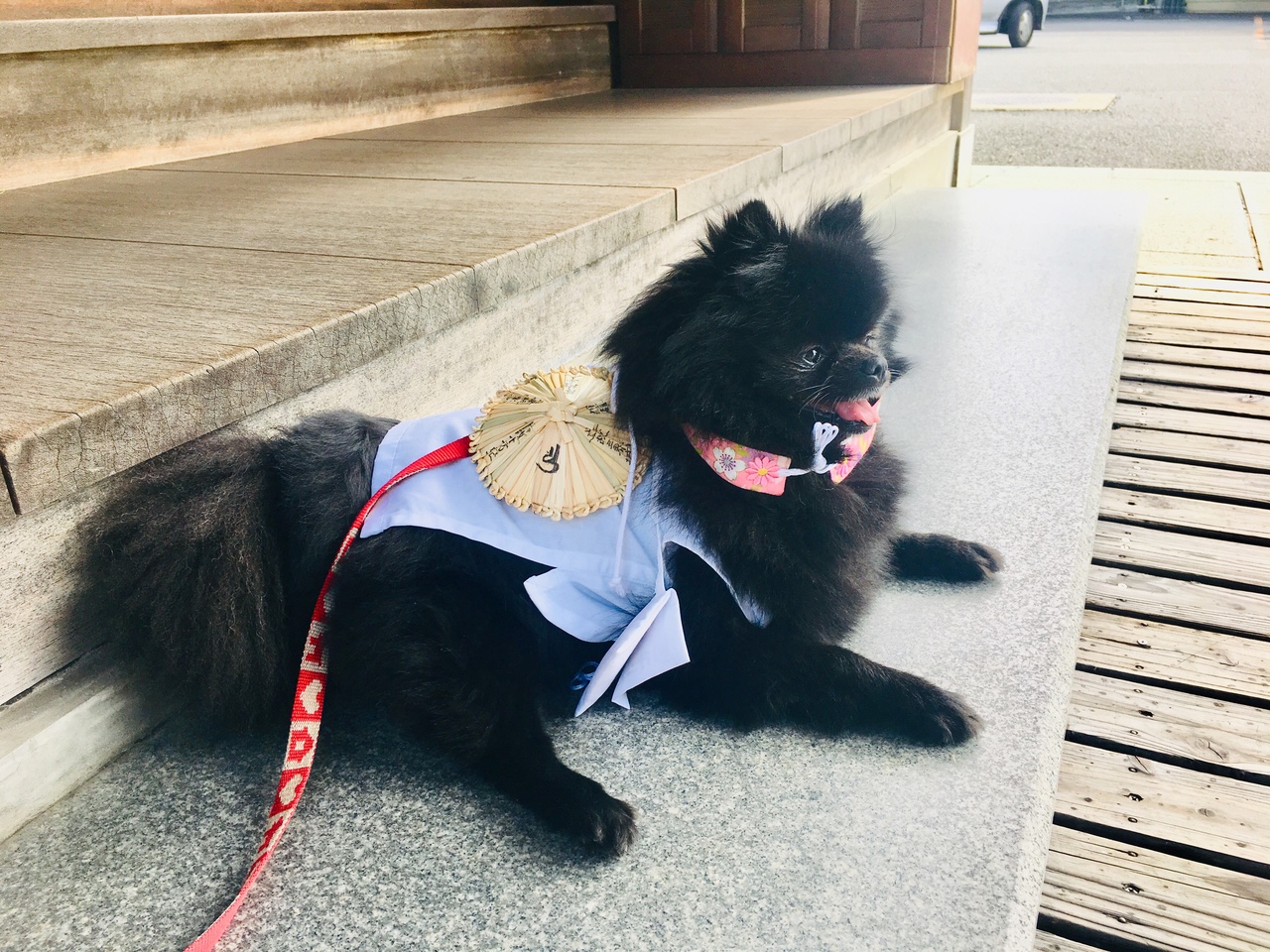 可愛いお遍路さんをご紹介致します💓