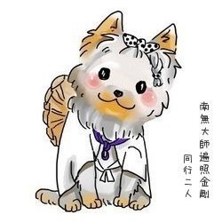 大型わんちゃんにも対応致します。