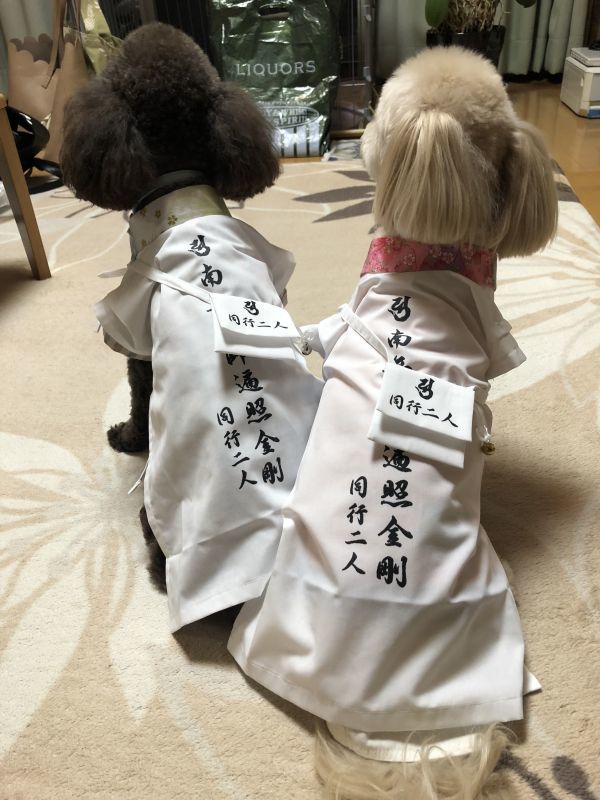 可愛いお遍路さんをご紹介致します💓