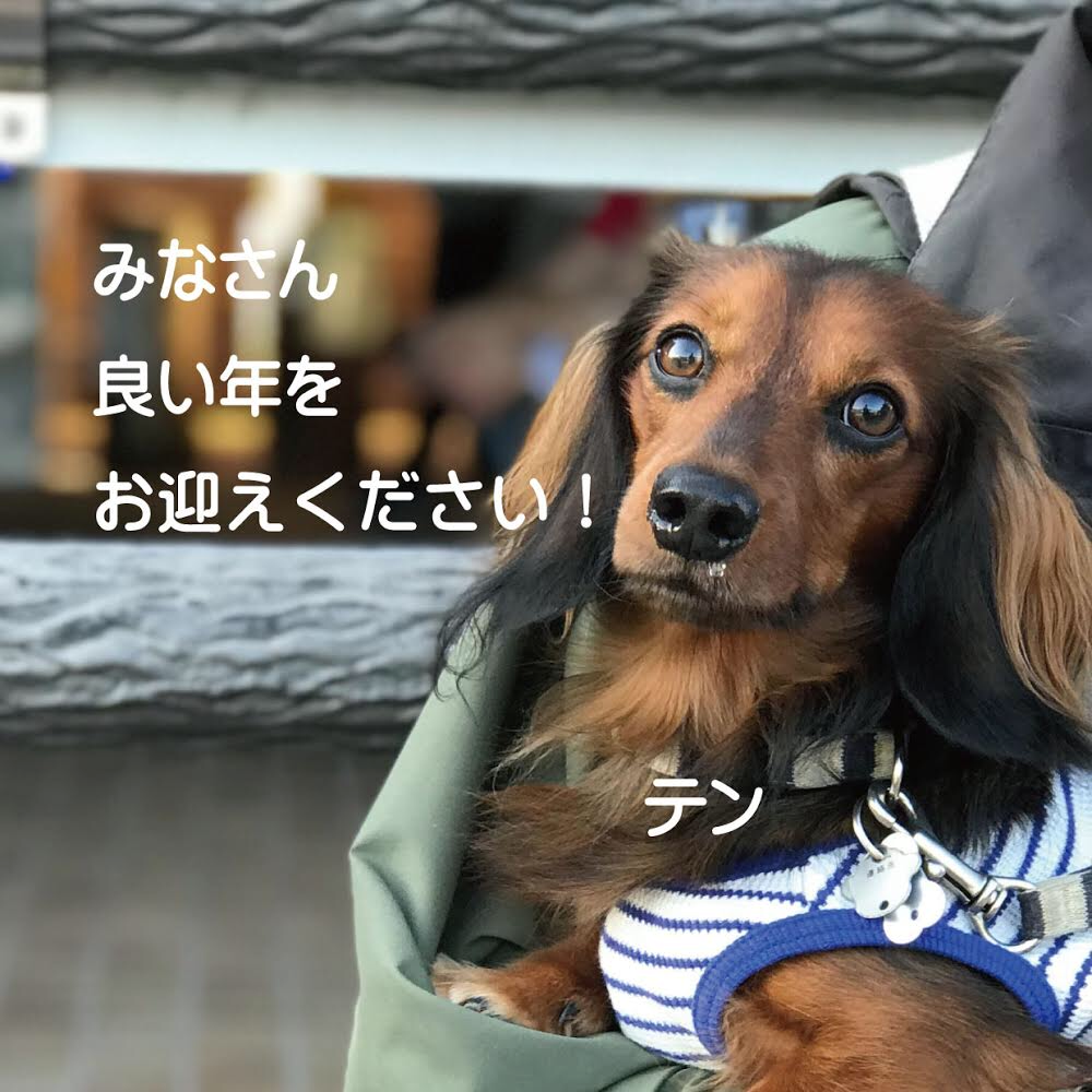 良い年をお迎えください！