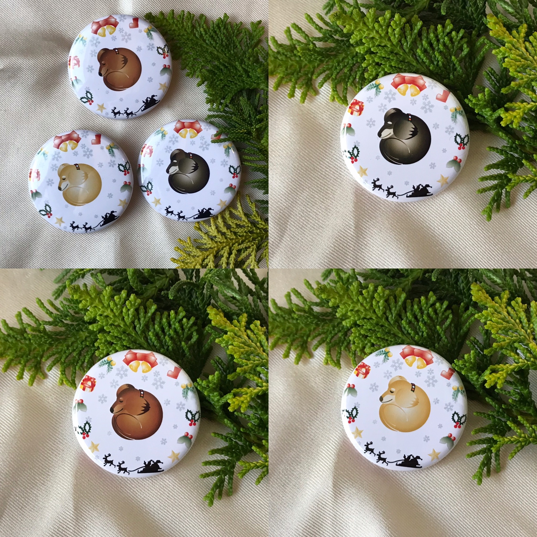 🎄クリスマスまん丸ダックスパピー