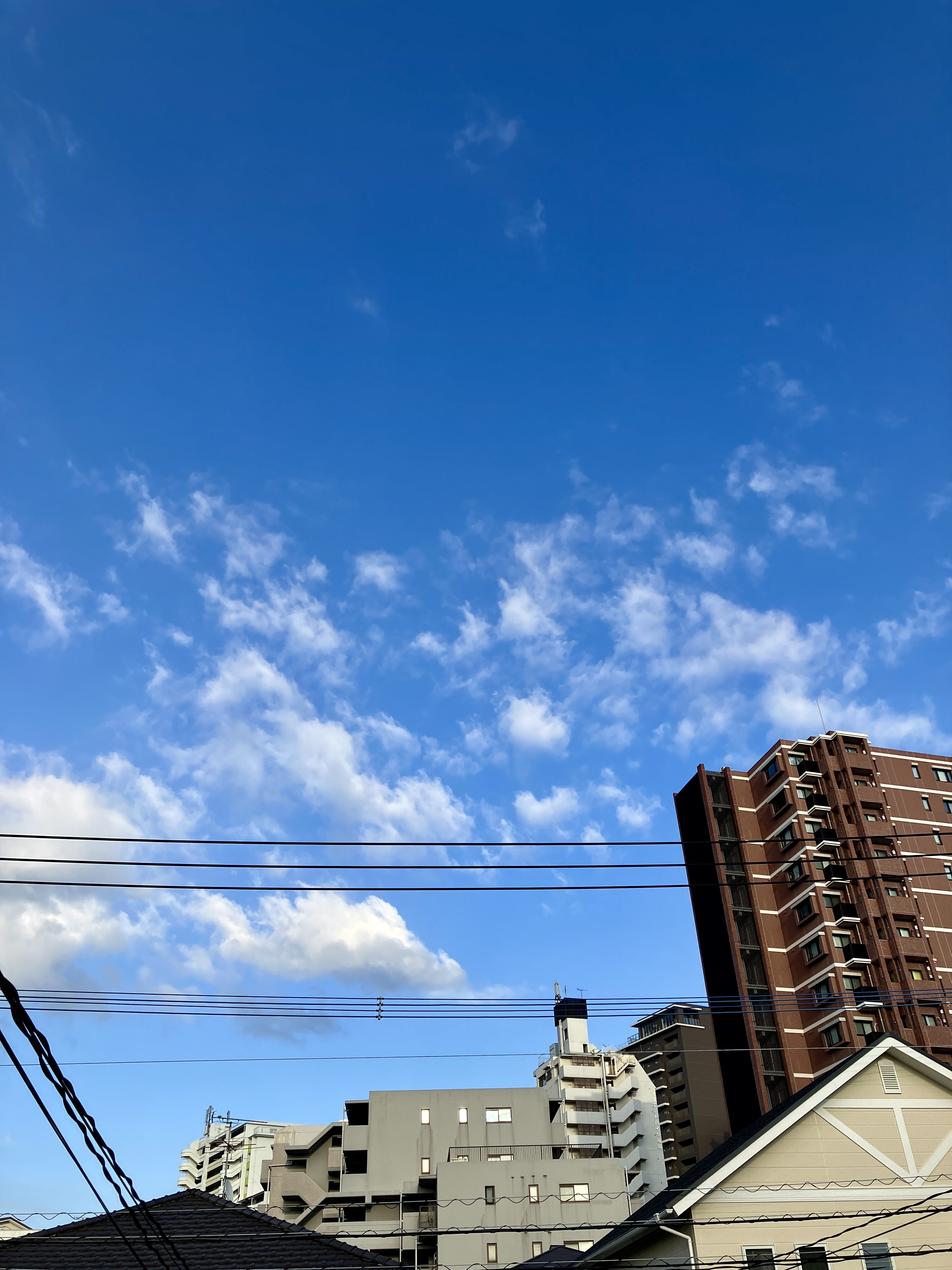 初心忘るるべからず