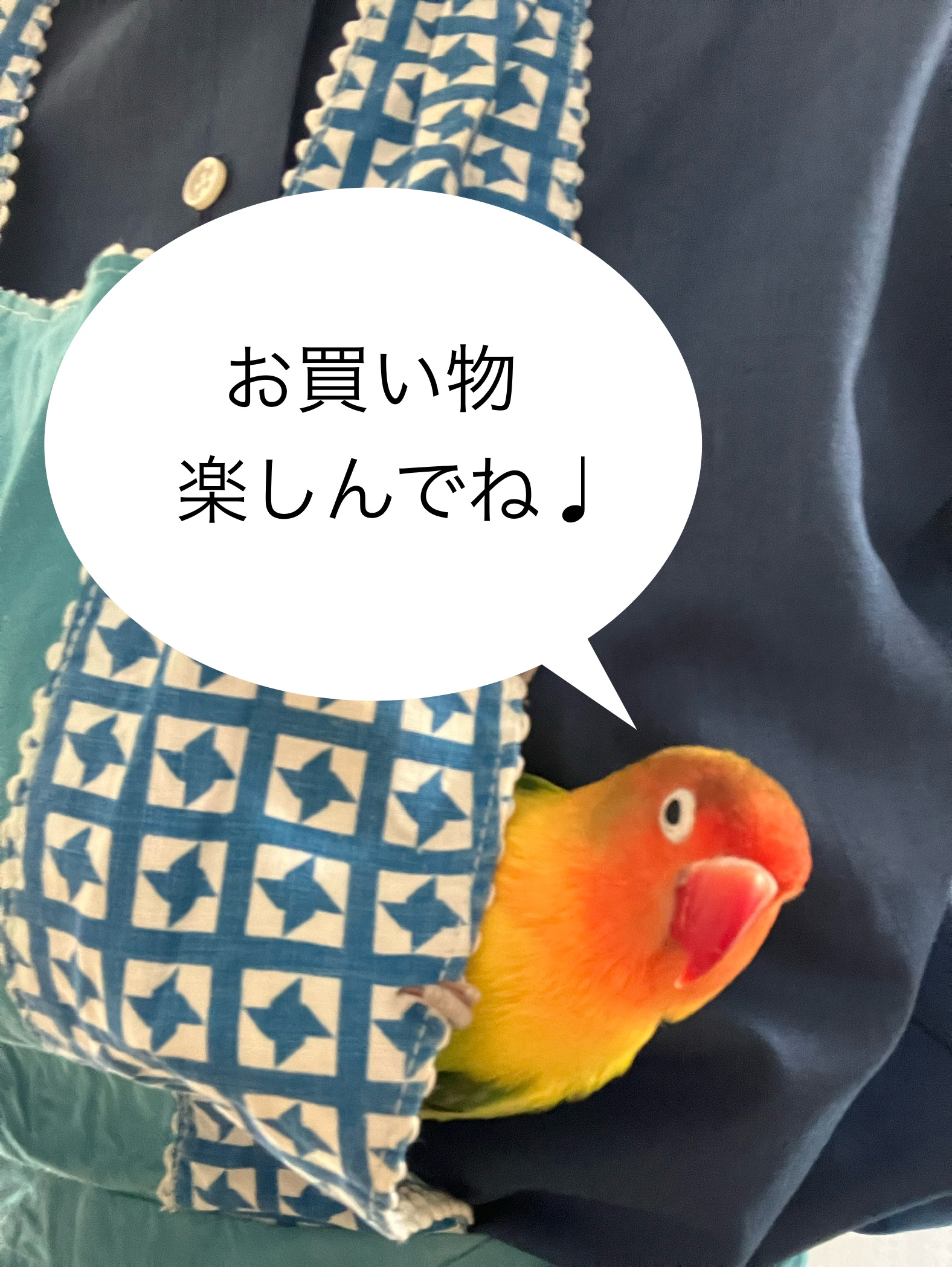 とっと店鳥（店長）より送料のご案内