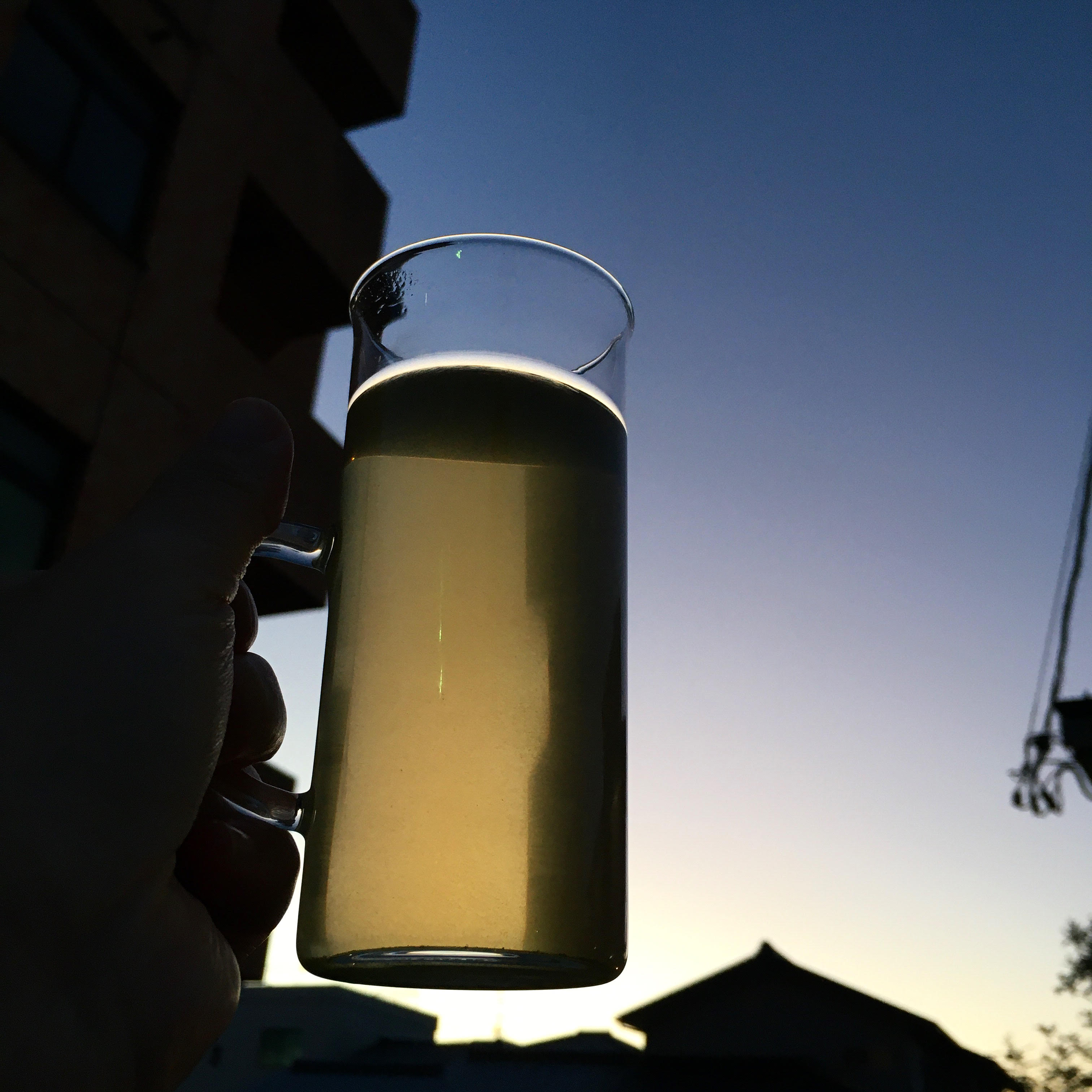 薔薇の緑茶ととある日の夕日。2021年12月6日