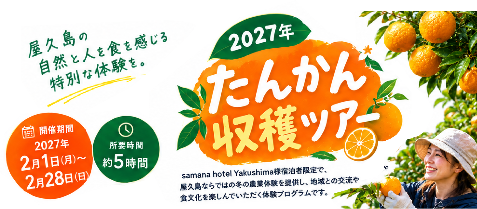 2027年たんかん収穫ツアー概要《限定版》