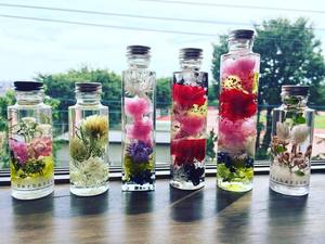 エテルネル雑貨屋ギプソフィラ誕生物語