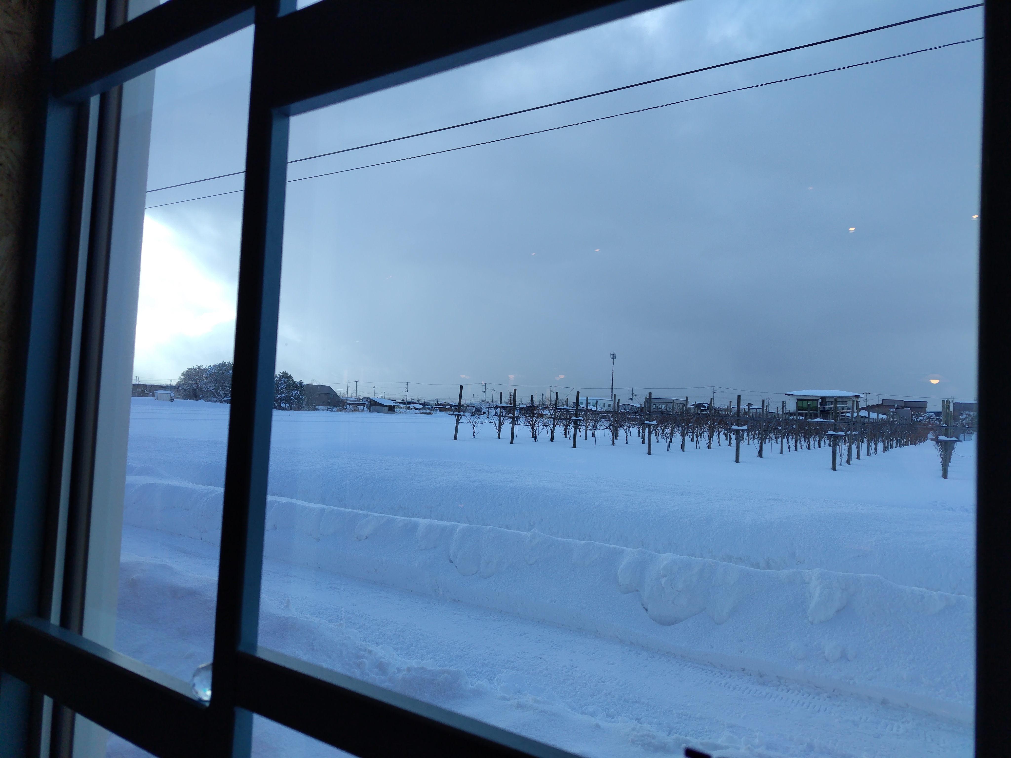 2025年の栽培醸造の記録