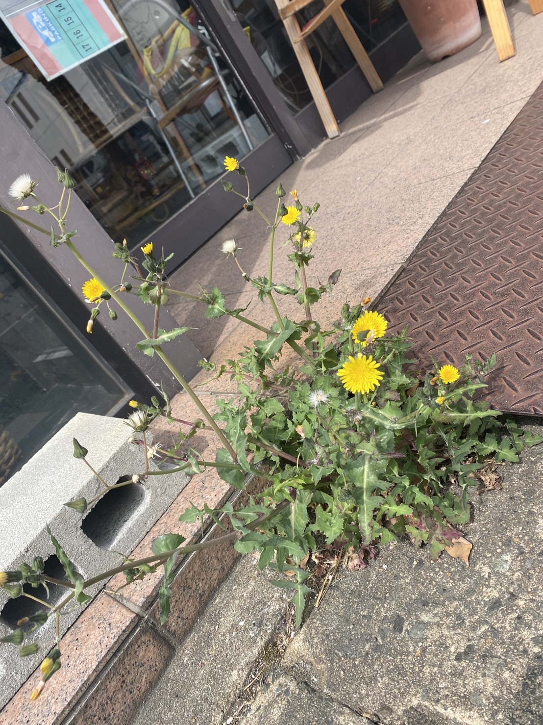 2023.3/17 ☁️ 古着屋店主から学生さんに向けて🤠
