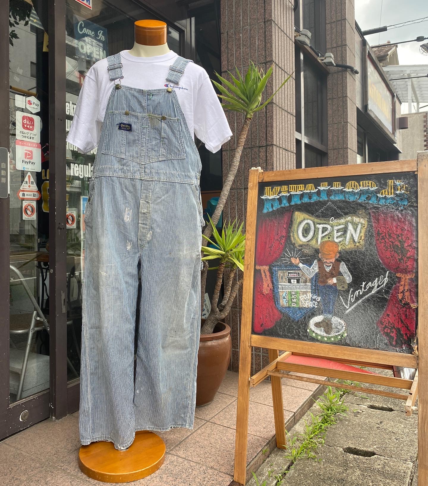 2022.6/25 ☁️ 古新融合…自分色に育てて🕺🏻