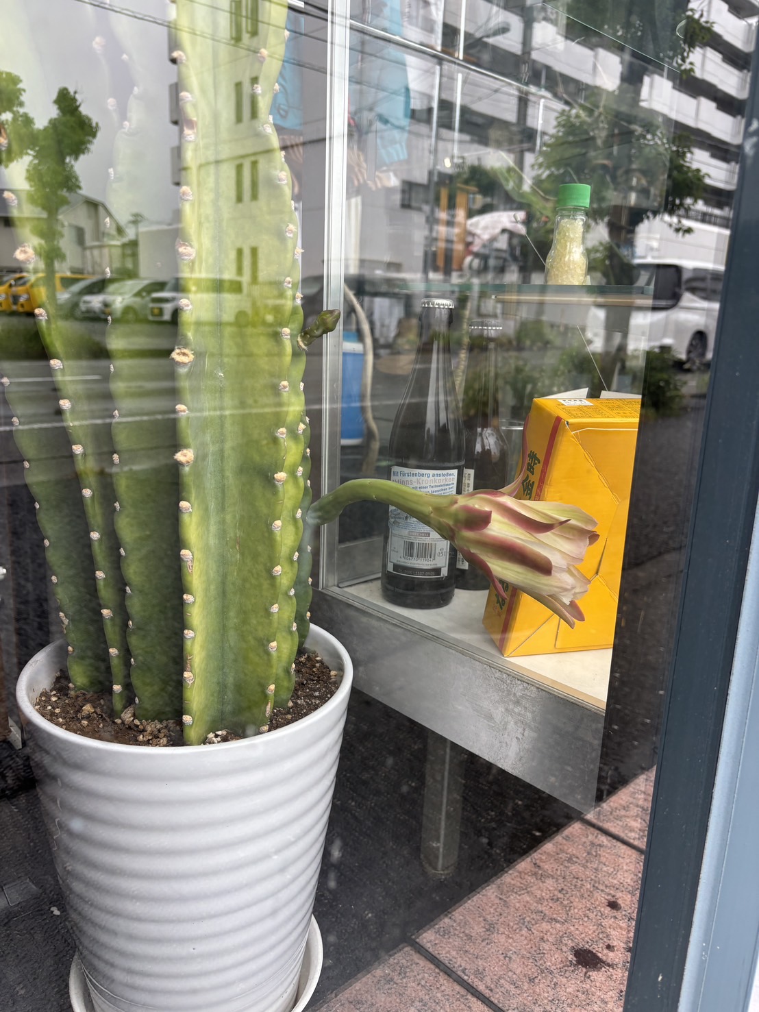 2026.9/26 ☔️ 明日はまた店舗休業日🤠🙏