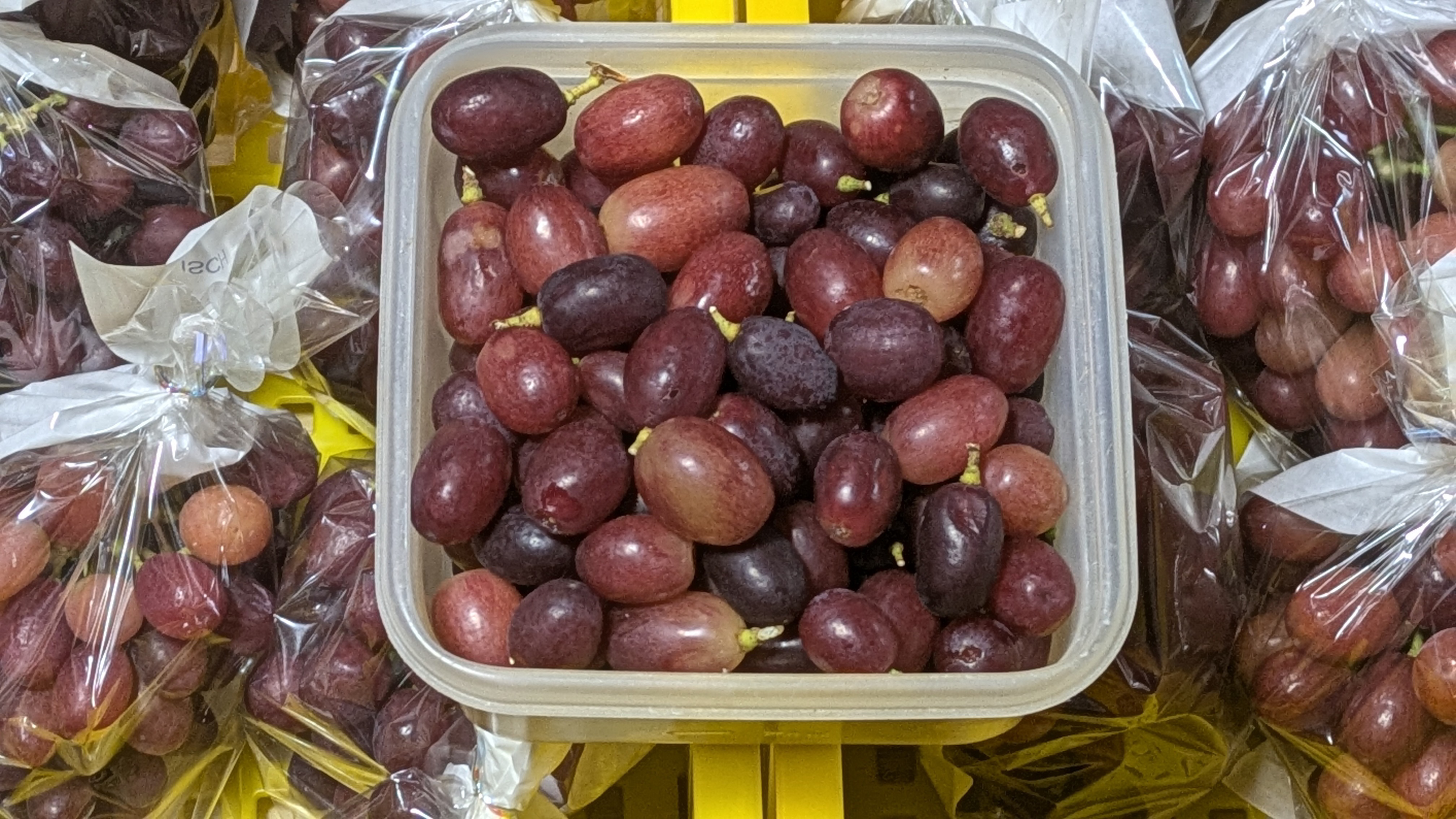 2025年のぶどうは「味の年」