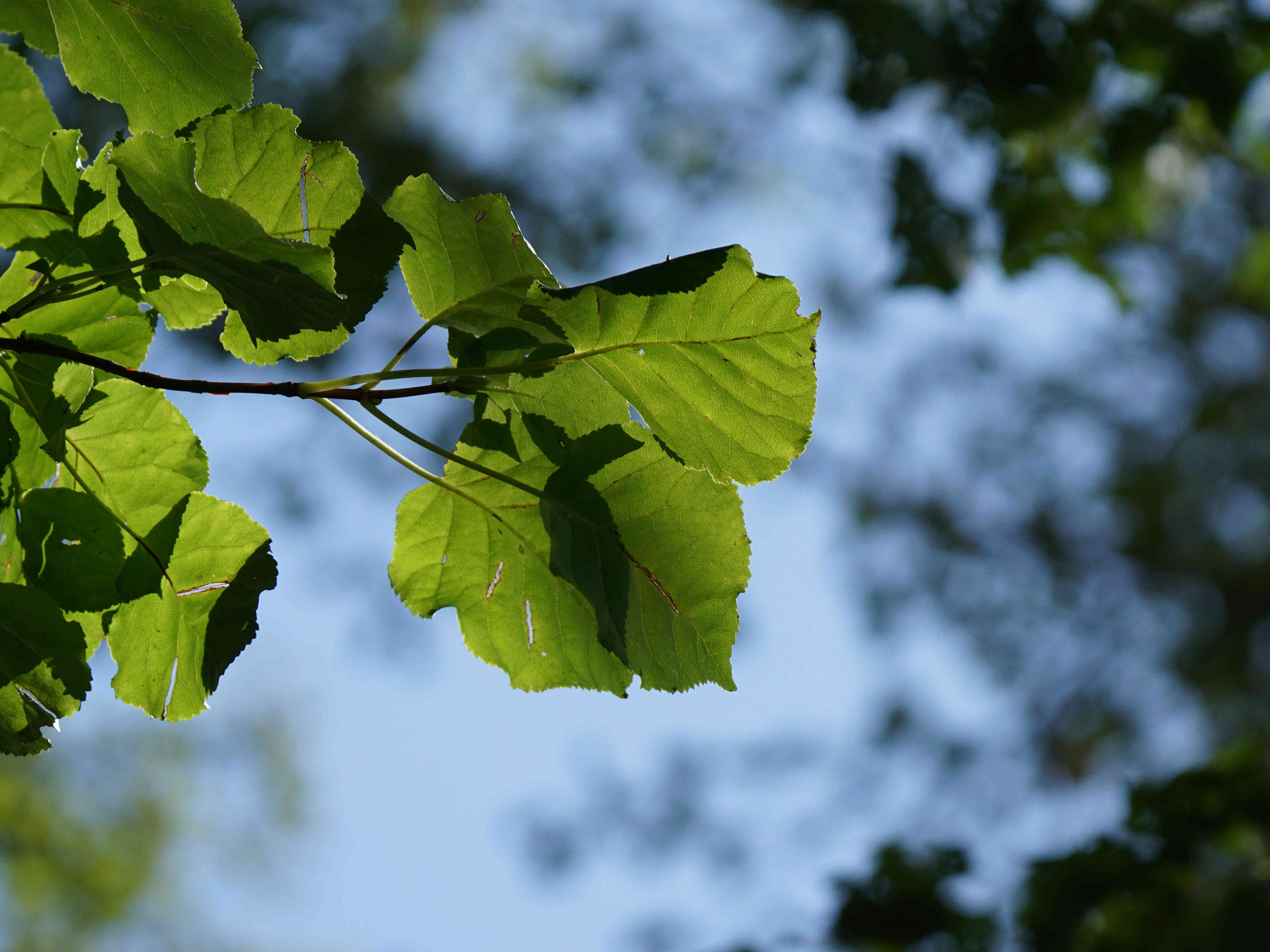 人生は想定外の連続