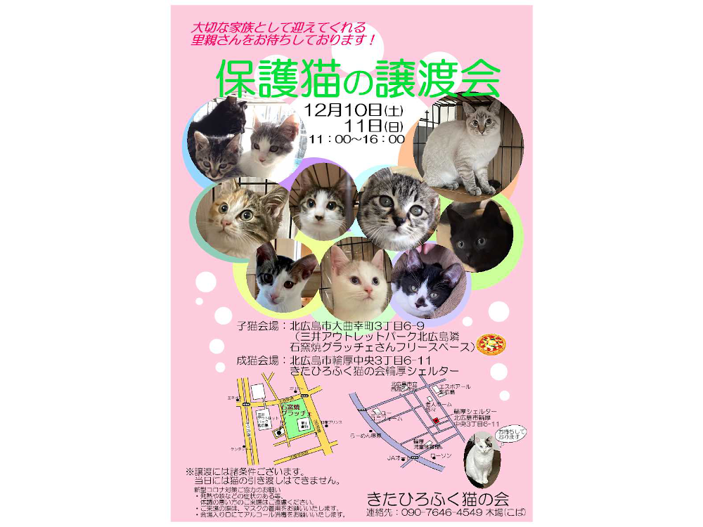 保護猫譲渡会のお知らせ（北広島市）