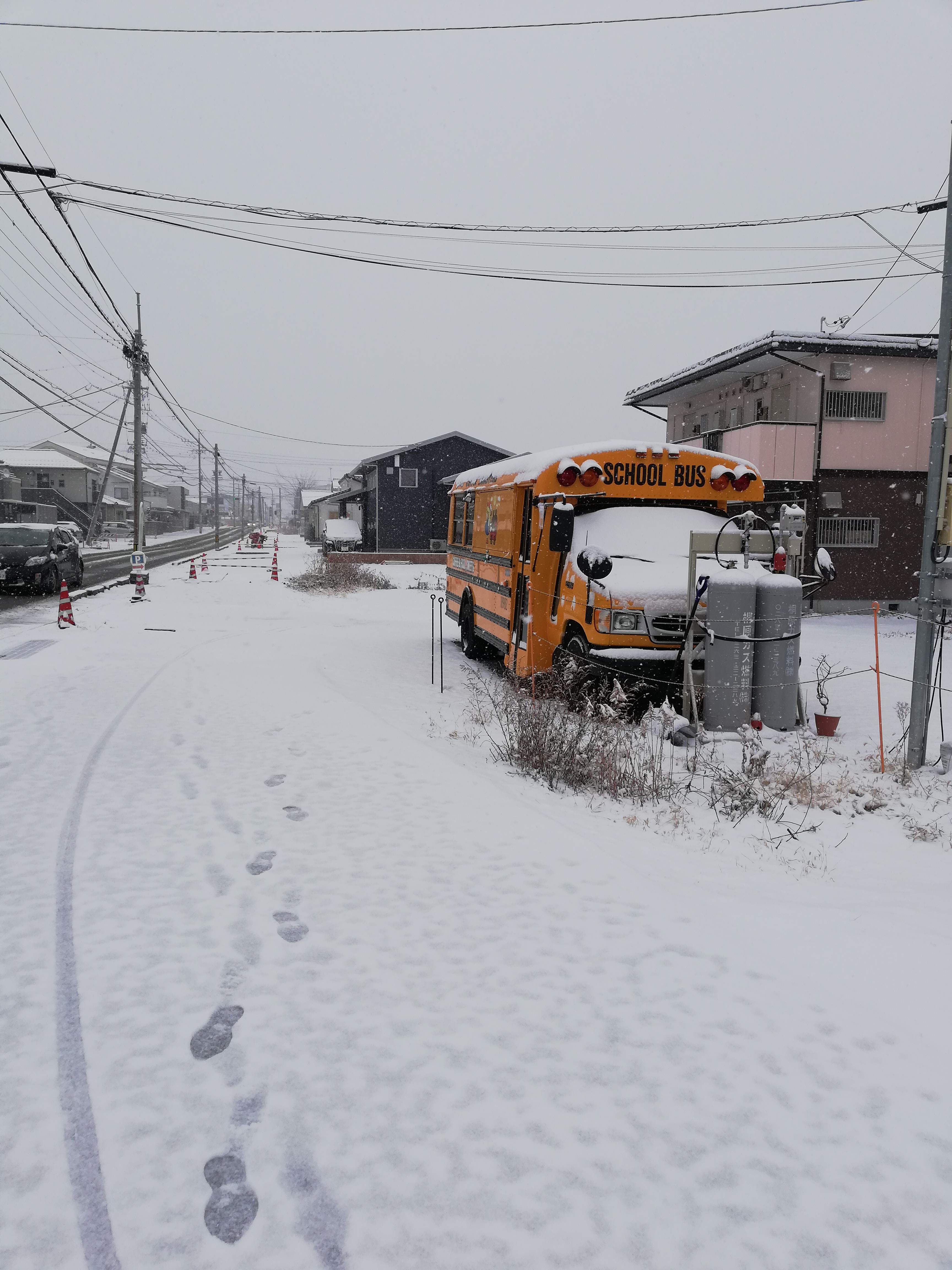 ♯９６ 2月の大寒波祭り❄⛄️