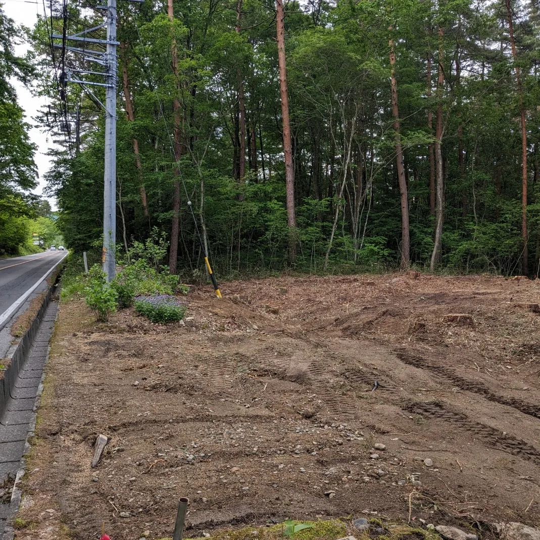 ＃１３０ 山を買う②🌲🪵
