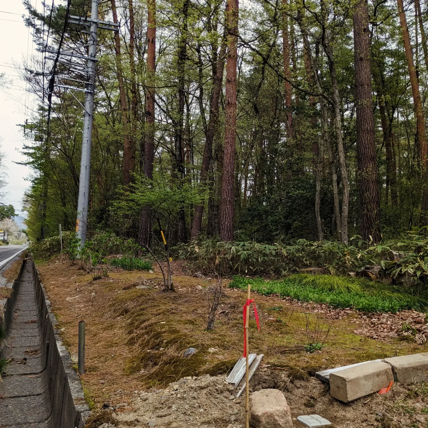 ＃１２９ 山を買う⛰️🌲
