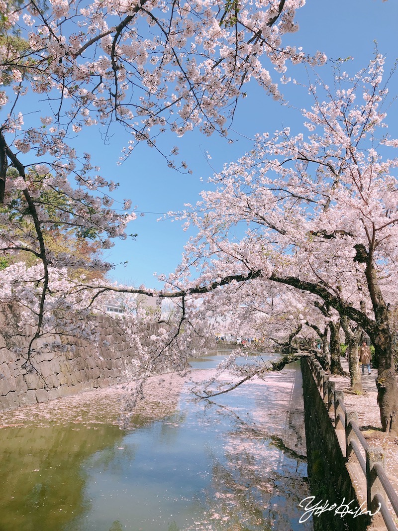 【ゴールデンウィークの営業につきまして】