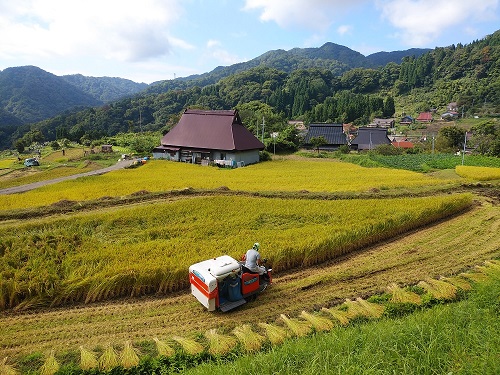 新米のご予約承ります