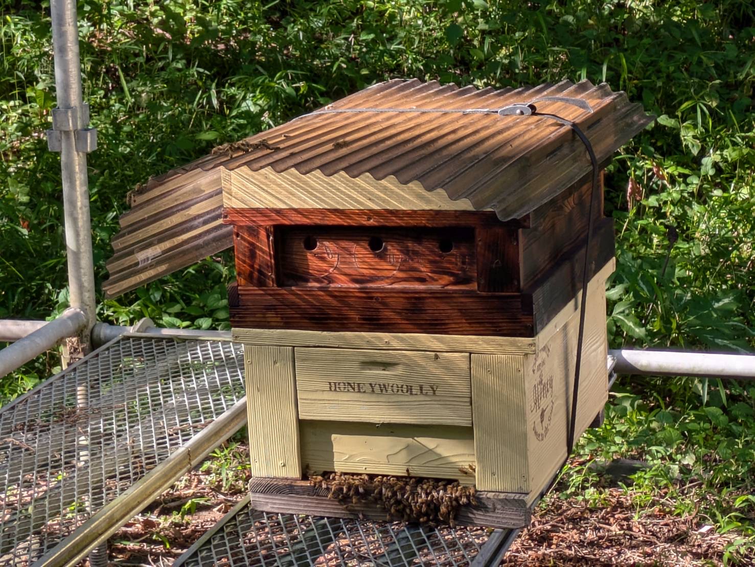 美味しいを育む、養蜂家と蜜蜂の信頼関係