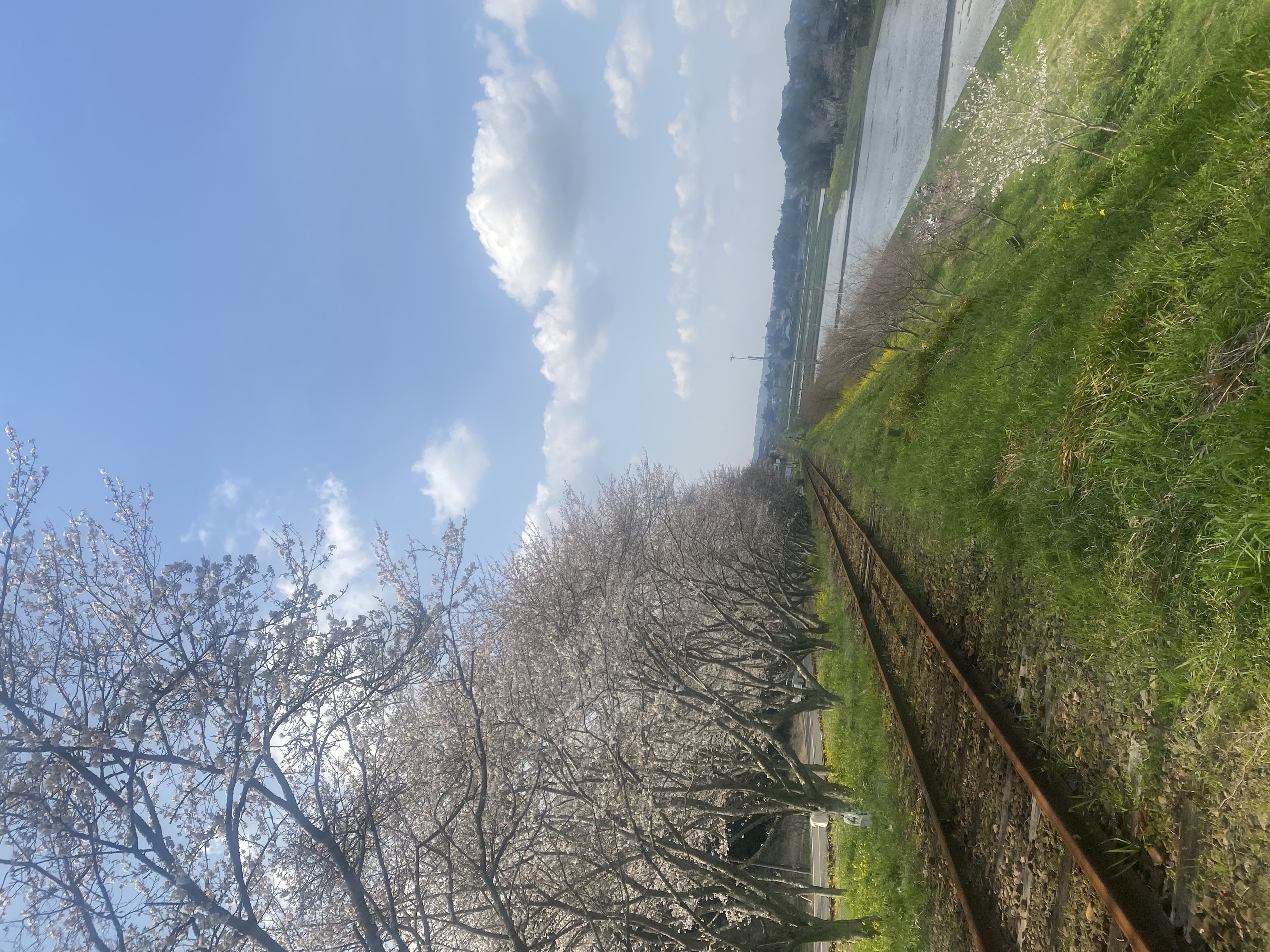 房総の春の訪れ