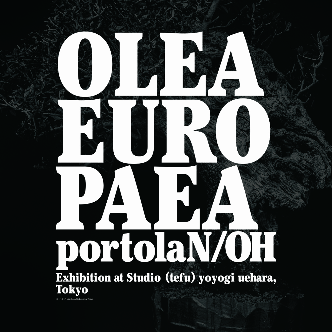 OLEA EUROPAEA portolaN/OH Exhibition #2