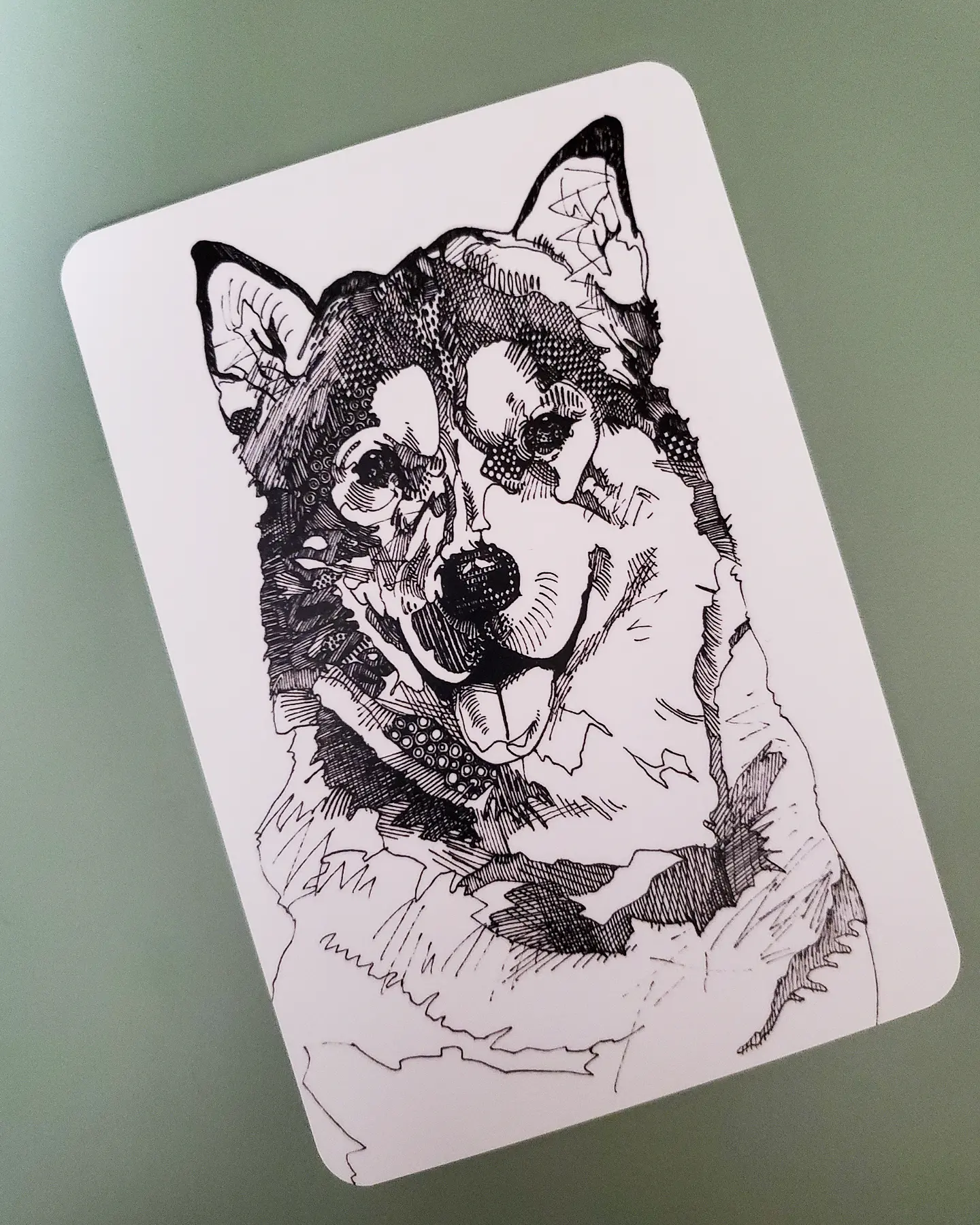 ハスキーのポストカード