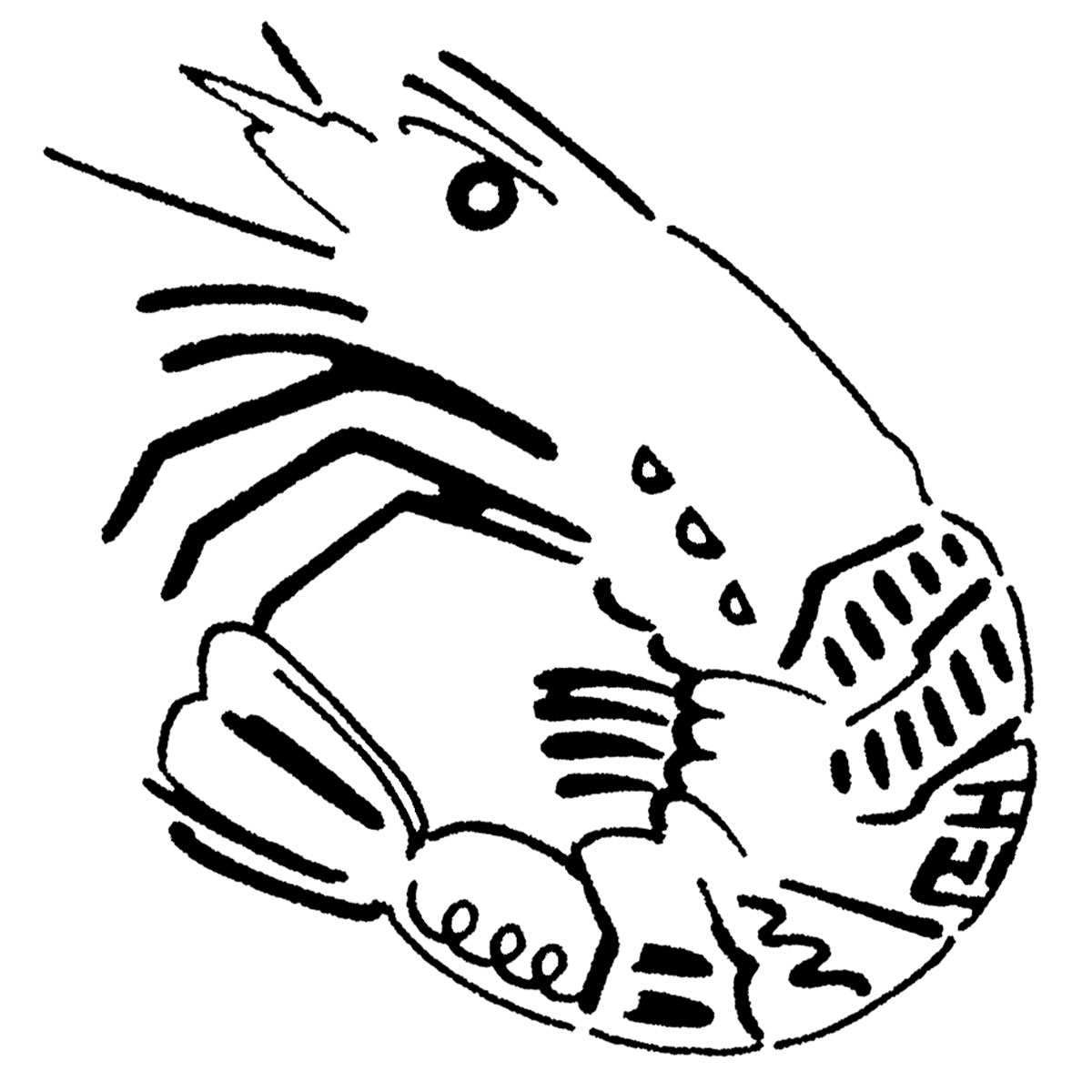 SURIMACCAサミット-巾着編-