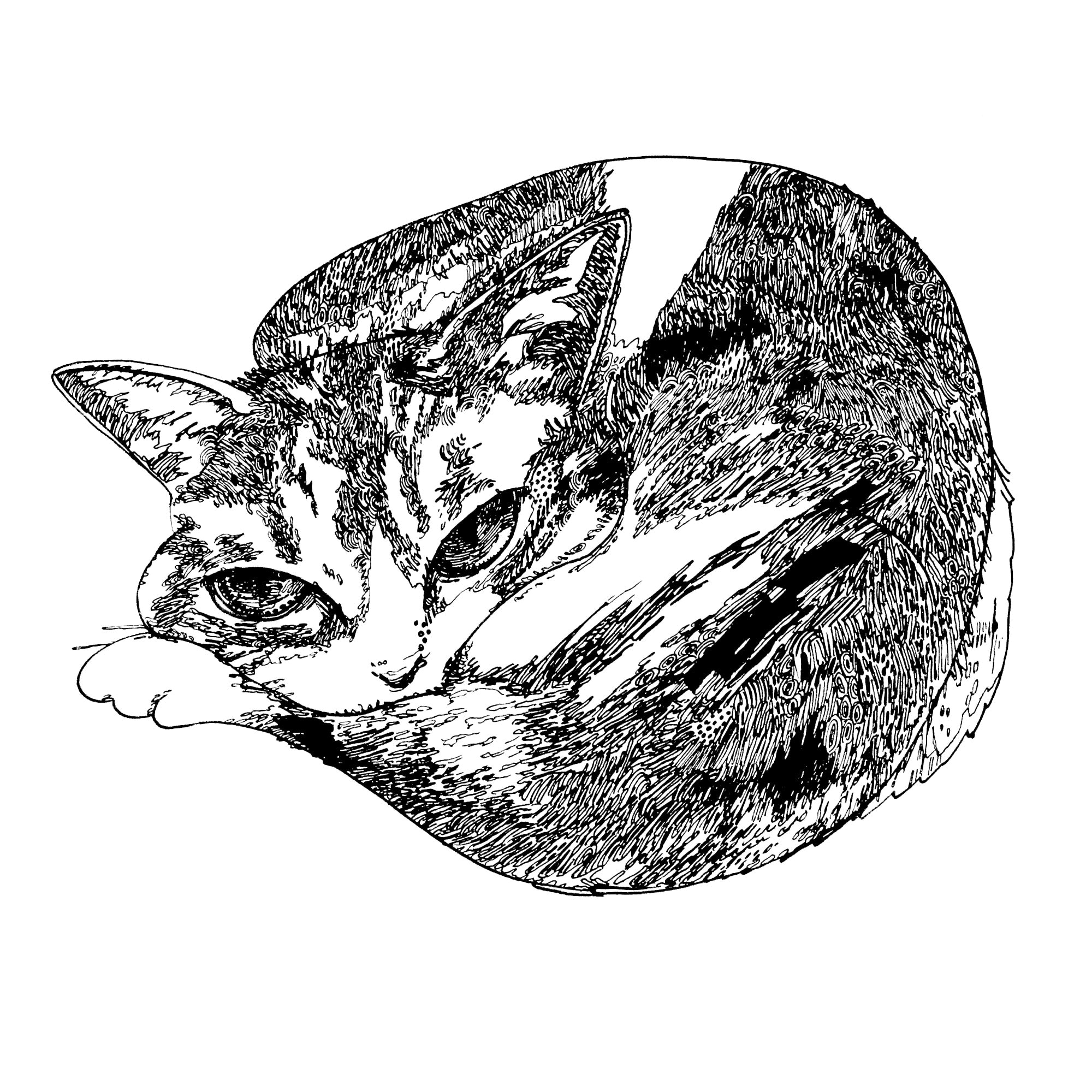 イベントや展示のお知らせ