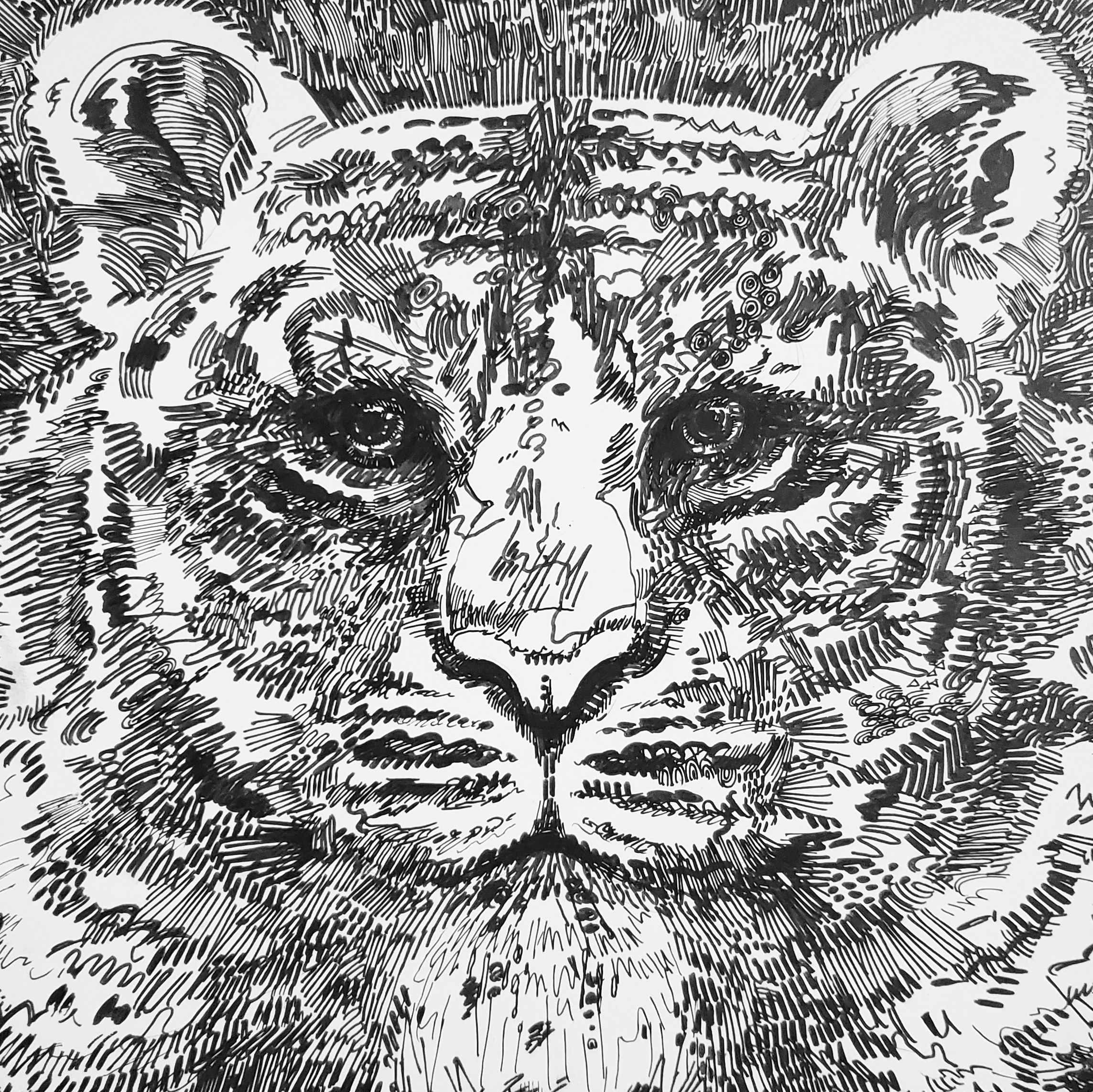 次回の展示のお知らせ