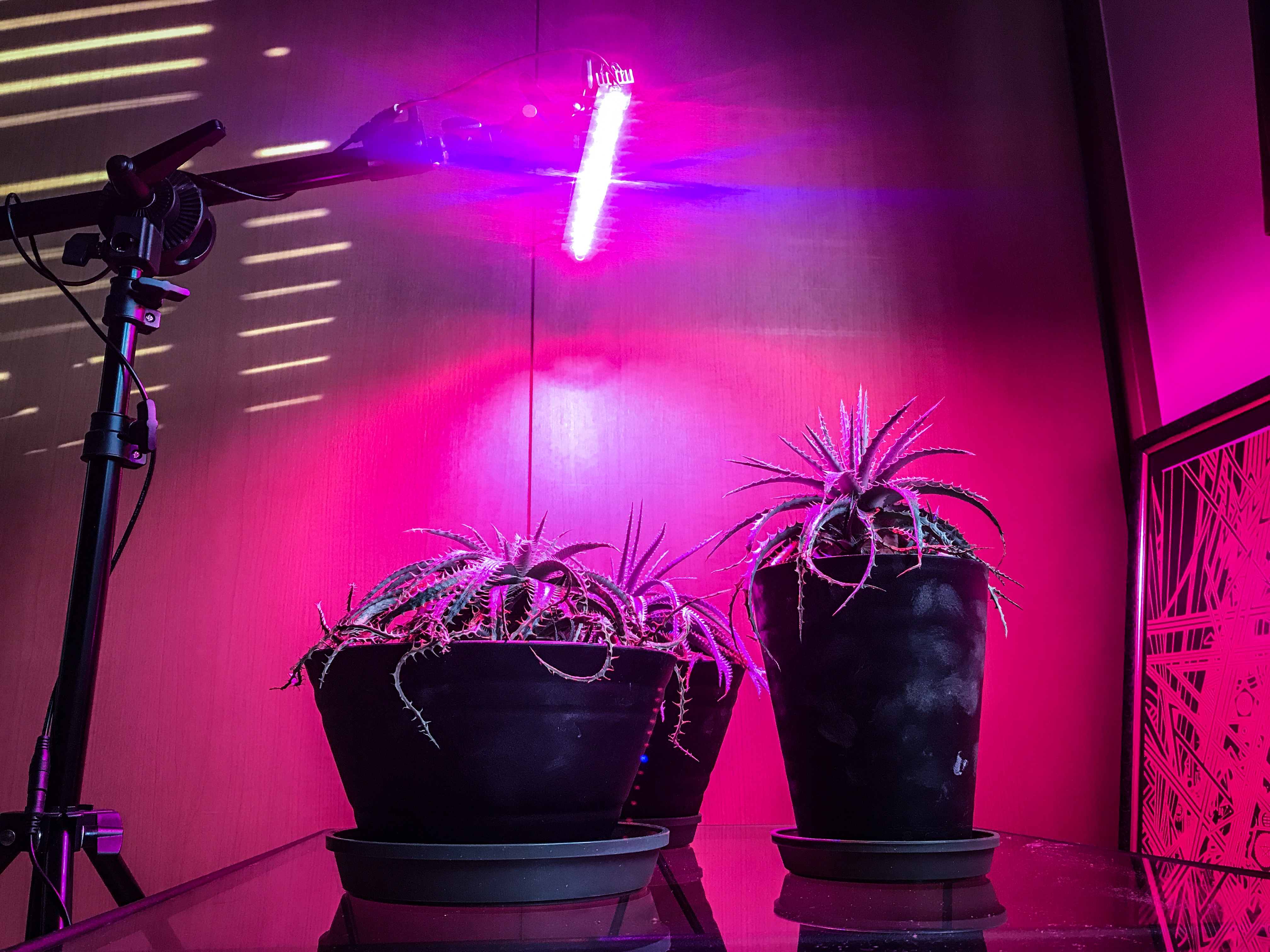 植物育成ライトを制作