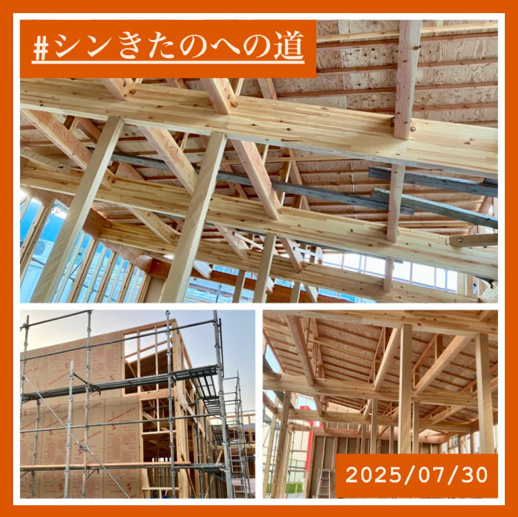 『シンきたのへの道！』