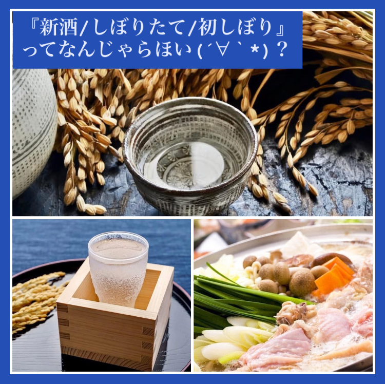 『新酒/しぼりたて/初しぼり』ってなんじゃらほい(´∀｀*)？