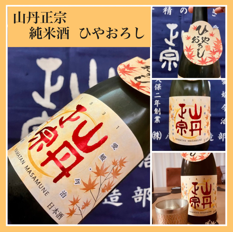 秋のお便り第3号！『山丹正宗 純米酒 ひやおろし』