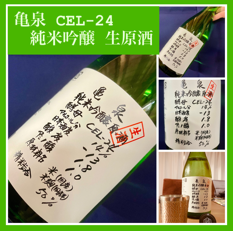 今期の新米新酒しぼりたて！『亀泉 純米吟醸 生原酒 CEL-24』