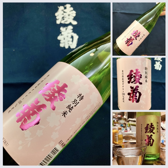 春めくこれからの季節に美味しいお酒♪ 『綾菊 春の特別純米酒』