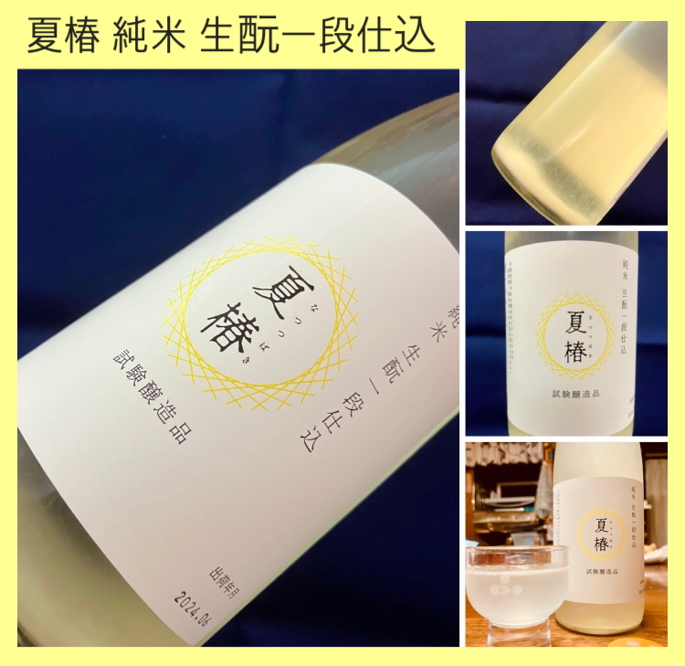“極少量出荷の試験醸造酒!” 『富久錦 純米生酛一段仕込 夏椿』