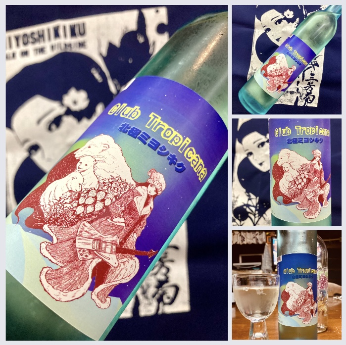 “ワイルドサイドを歩け‼︎” 『三芳菊 北極ミヨシキク〈Club Tropicana〉』