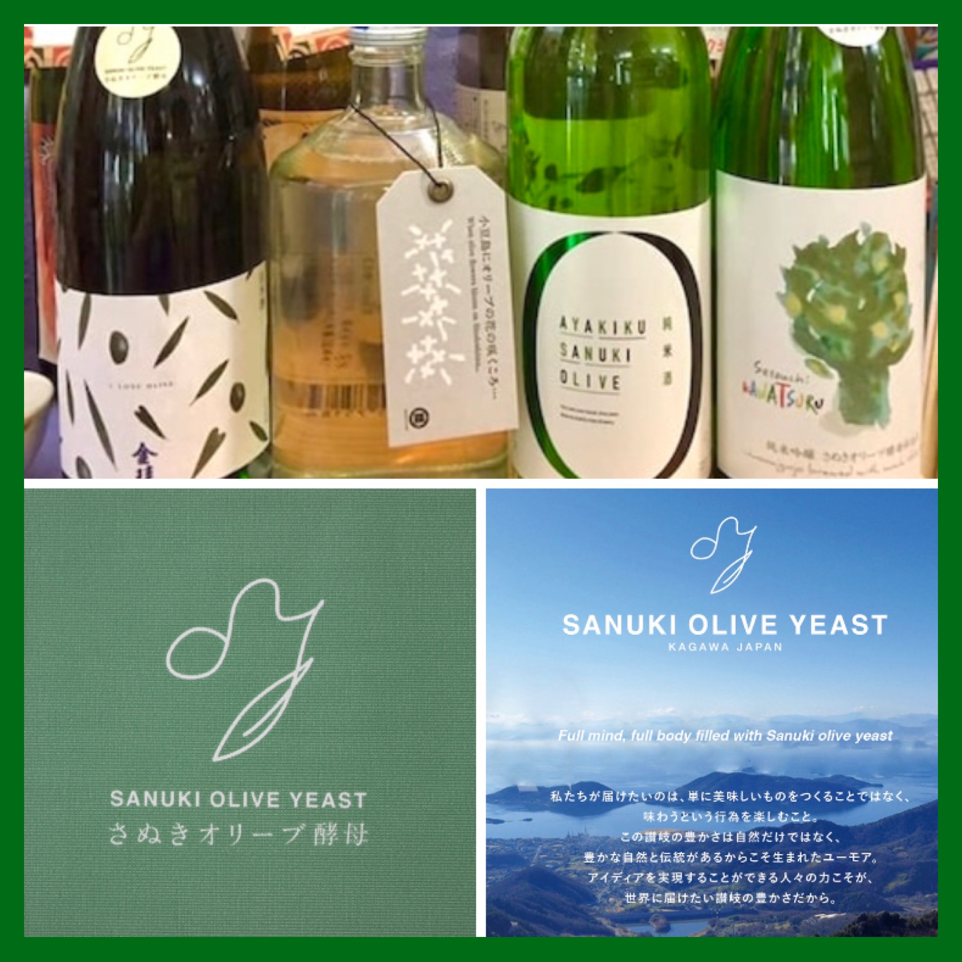 4月15日は「よい酵母の日」！ 『日本酒の酵母についてd(^_^o)』