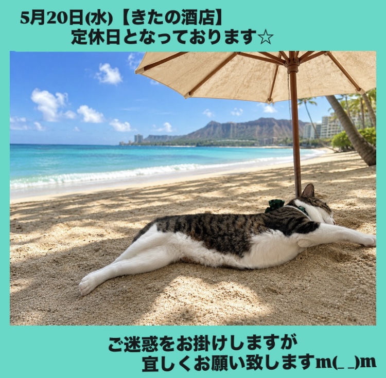 『5月20日(水)は【きたの酒店】定休日となっております☆
