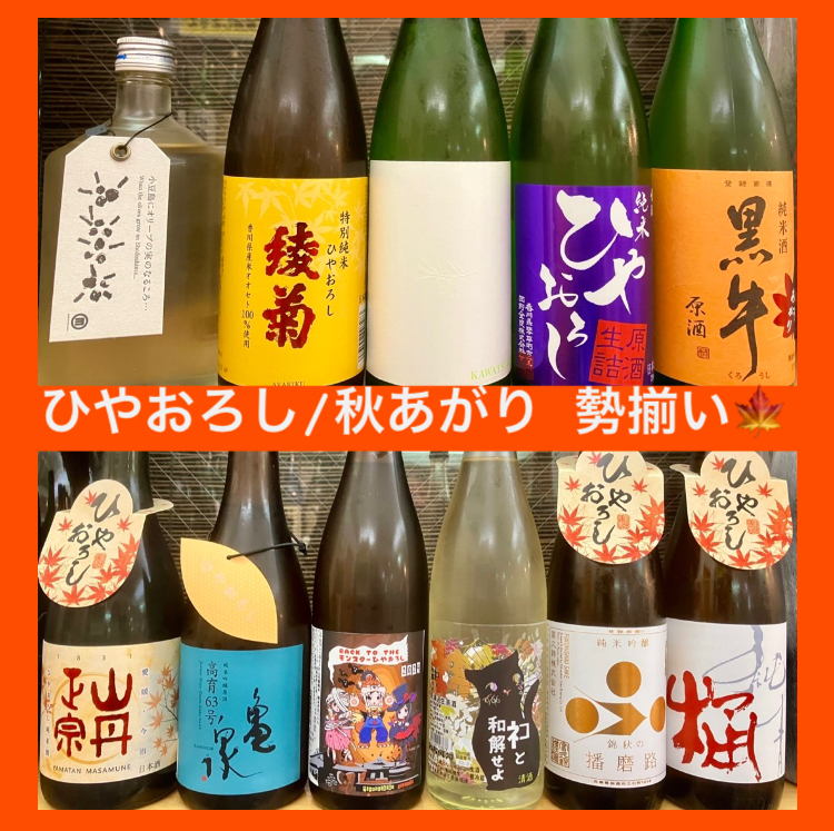 【きたの】の冷蔵庫はスッカリ秋色に染まりました(*´∀｀*) 『ひやおろし/秋あがり 勢揃い』