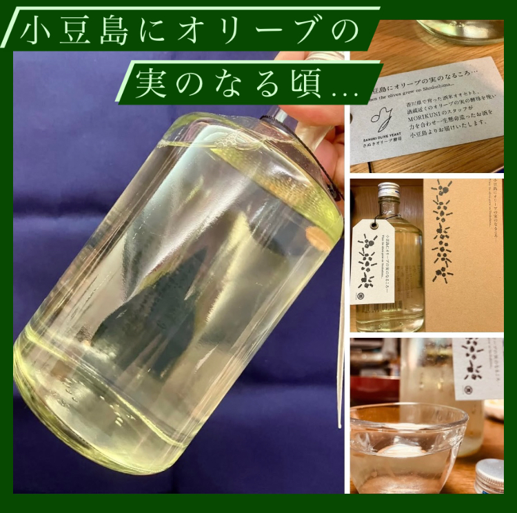 秋のお便り第1号！ 『森國 小豆島にオリーブの実のなるころ・・・』