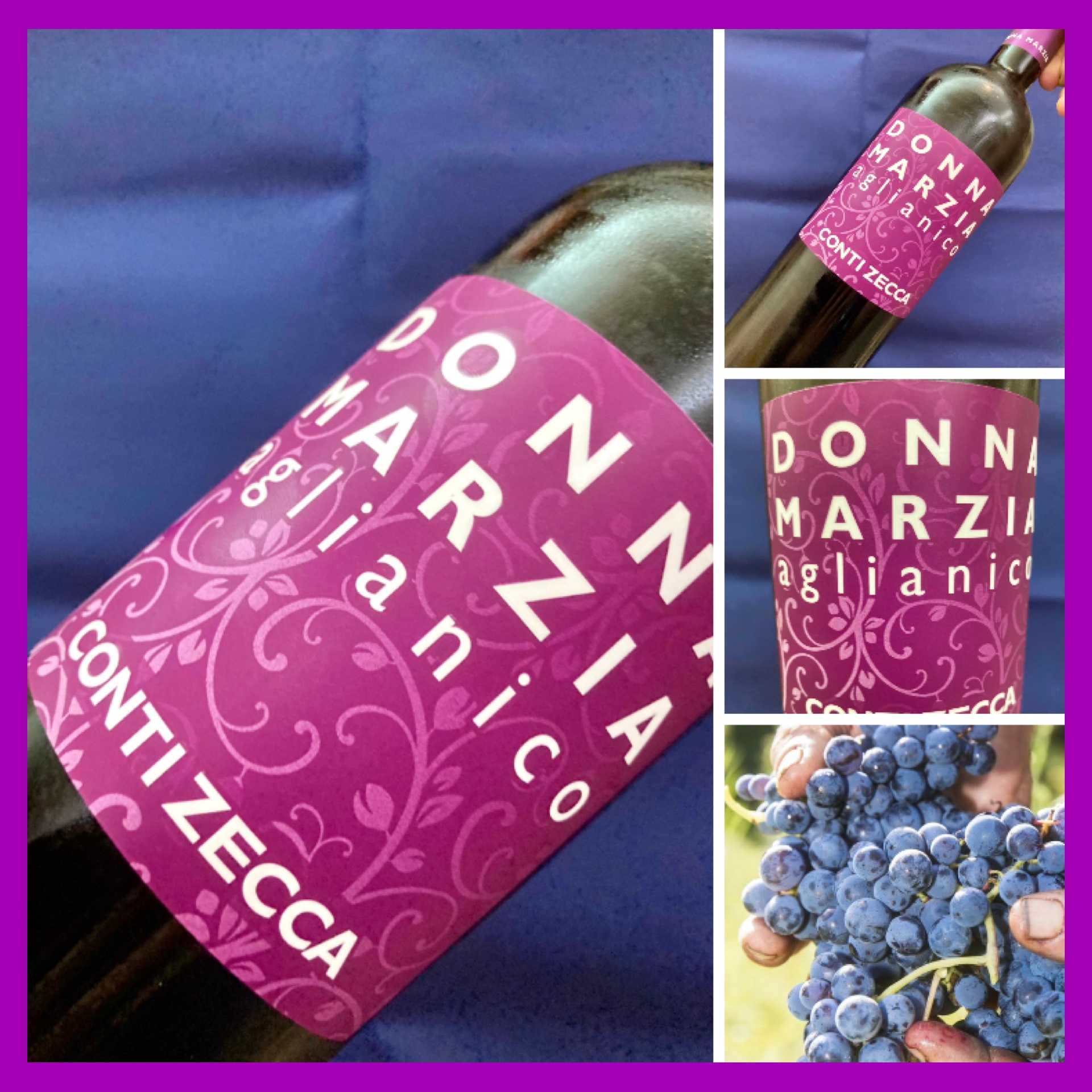 “高級品種アリアニコ使用の安旨ワイン！” 『ドンナ・マルツィア アリアニコ』