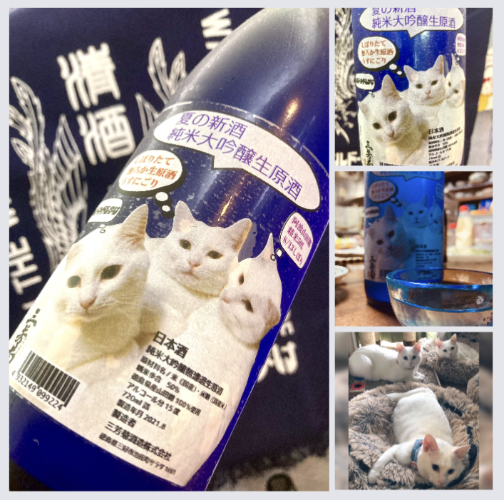 “ワイルドサイドを歩け‼︎” 『三芳菊 純米大吟醸 うすにごり〈白猫ラベル〉』