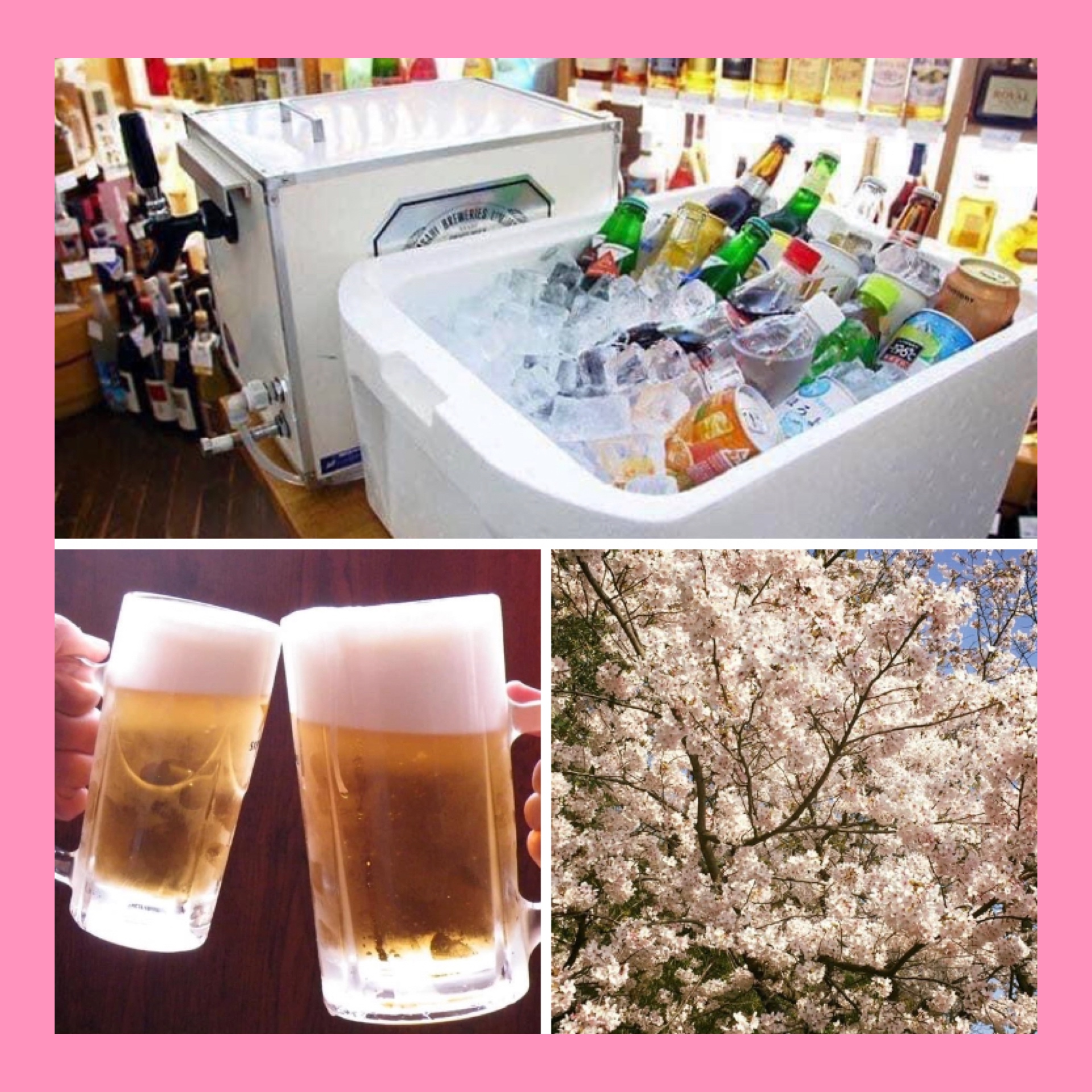 お花見のお酒も【きたの】にお任せ(о´∀`о)