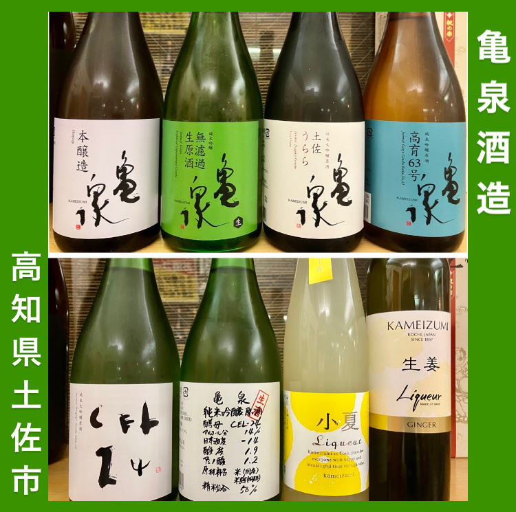 本日5月23日は「世界亀の日」☆